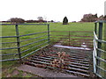 Cattle grid at Hawcroft Grange