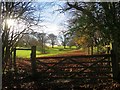 Field off Foxhole Lane