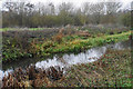 The River Great Ouse