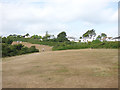 Open space alongside Sea Road