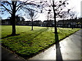 Tree shadows, Winters Gardens, Omagh