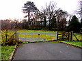 Field gates south of the A472, Ystrad Mynach