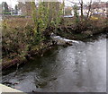 Minor confluence in Ystrad Mynach