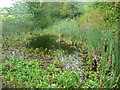 Pond next to Queensbury FP32