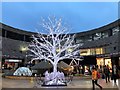 Shops and Christmas decorations in Milton Keynes shopping centre - 2018