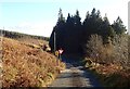 The exit motor road from the Slieve Gullion Forest Park approaching the junction with the two way road descending to the B113