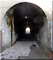 Crabble Meadows railway tunnel, Buckland