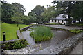 L7157 : Stream, Connemara National Park Visitor Centre by N Chadwick