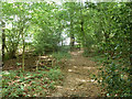 Path towards Main Road, Biggin Hill