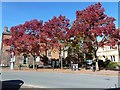 Severn Square, Newtown