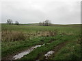 Grass field near Wester Ballochearn