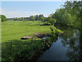 Paddocks by River Wensum