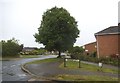 Lordship Lane at the corner of Howard Drive