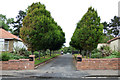 Ayr Cemetery