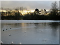 Winter sun setting over Nantwich Lake