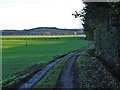 North Walk - track to Folds Farm