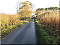 Hedge-lined minor road approaching Pirnie