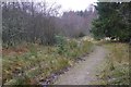 Path beside Loch Cottage