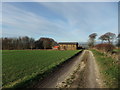 Barn at Toisland Farm