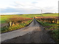 Hedge-lined minor road near New Smailholm