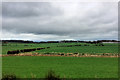 Fields near Game Farm