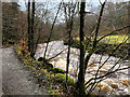SD6973 : Path alongside the River Twiss, Ingleton Waterfalls Trail by David Dixon