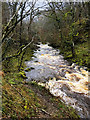 SD6974 : Swilla Glen, River Twiss by David Dixon