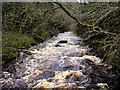 SD6974 : River Twiss from Manor Bridge by David Dixon