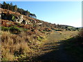 Rock outcrops above the forest access track