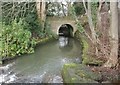 Bridge over Broom Burn