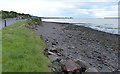 Firth of Tay shoreline at Stannergate