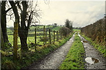 H5371 : Rough lane, Bancran by Kenneth  Allen