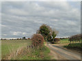 TG3301 : Ferry Road, Thurton by Adrian S Pye