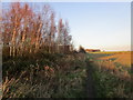 Footpath to Tickhill Road