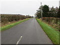 Hedge-lined minor road approaching Springwells