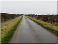 Hedge-lined minor road heading towards Springwells