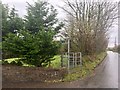 Footpath at Penyrheol