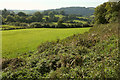 Farmland by Hoyle Copse