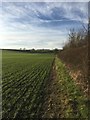 Footpath to Ladbroke Hill Farm