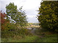 Footpath off Wednesbury Oak Loop, Coseley