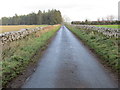 Wall-lined road near Greenlees