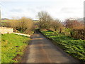 Minor road at Linton Burnfoot