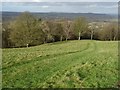 The Herefordshire Trail