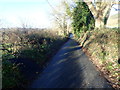 Forest Road approaching the link with the B134 (Longfield Road)