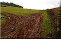 SO0327 : Muddy field entrance south of Llanfaes, Brecon by Jaggery