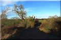 Minor road north of Eastfield Farm