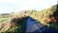 Unnamed road linking Dromintee with the descending forestry drive