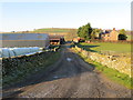 Track leading to Bonchester Farm