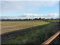 Open field north of Fen End Road