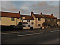 Cottages on the A361 at West Pennard